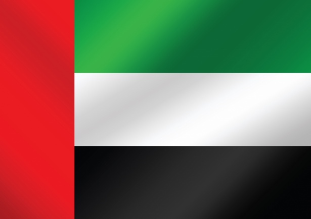 https://coredogroup.site/wp-content/uploads/2025/06/the-united-arab-emirates-flag-themes-1588673796kap.jpg